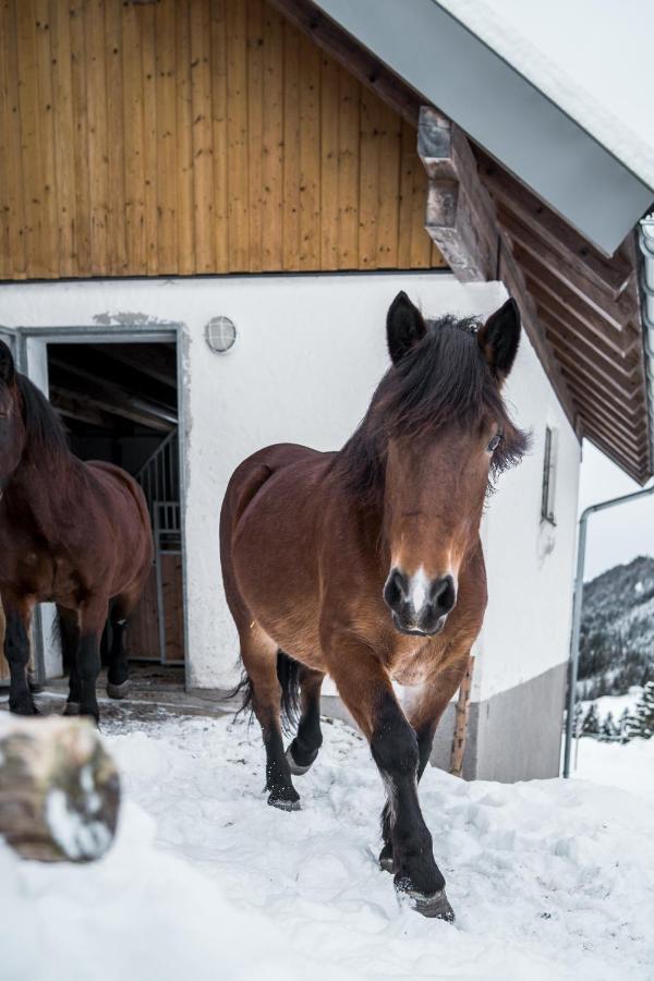 Bio Bauernhof Oberhinterberg Appartement Annaberg im Lammertal Luaran gambar